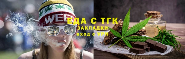 индика Инта
