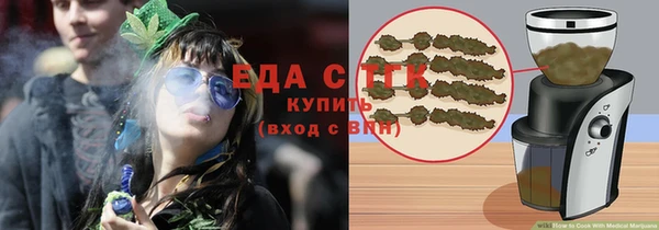 индика Инта