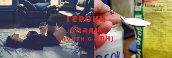 индика Инта