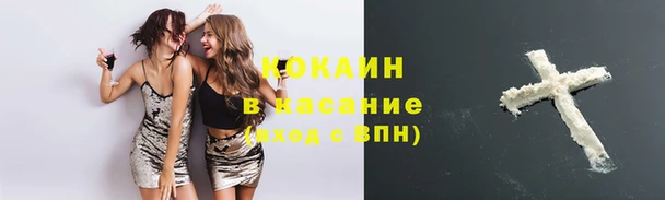 крисы Заводоуковск
