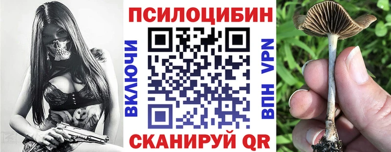 omg зеркало  Каменногорск  Галлюциногенные грибы Psilocybine cubensis 