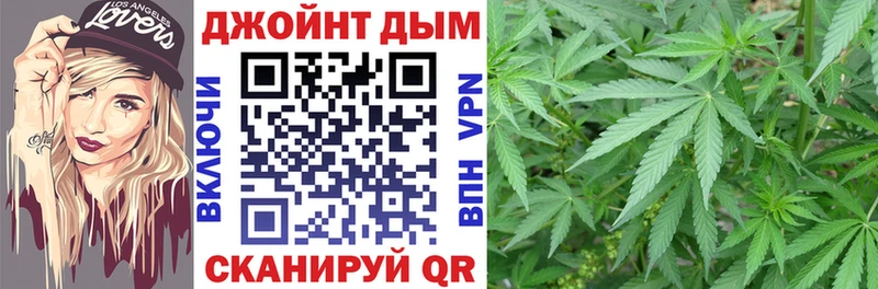 Канабис сатива закладка Каменногорск
